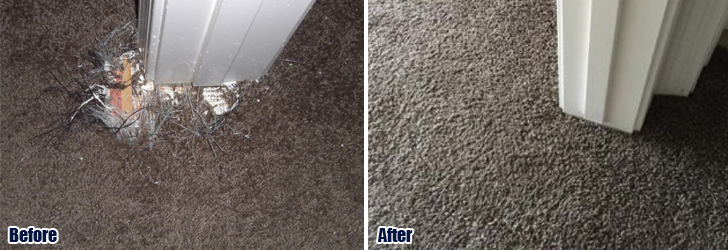 Pet Damaged Carpet Repair Malibu CA